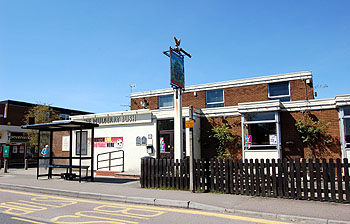 The Mulberry Bush May 2013